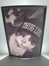 Load image into Gallery viewer, Custom Lithophanes (night lights)